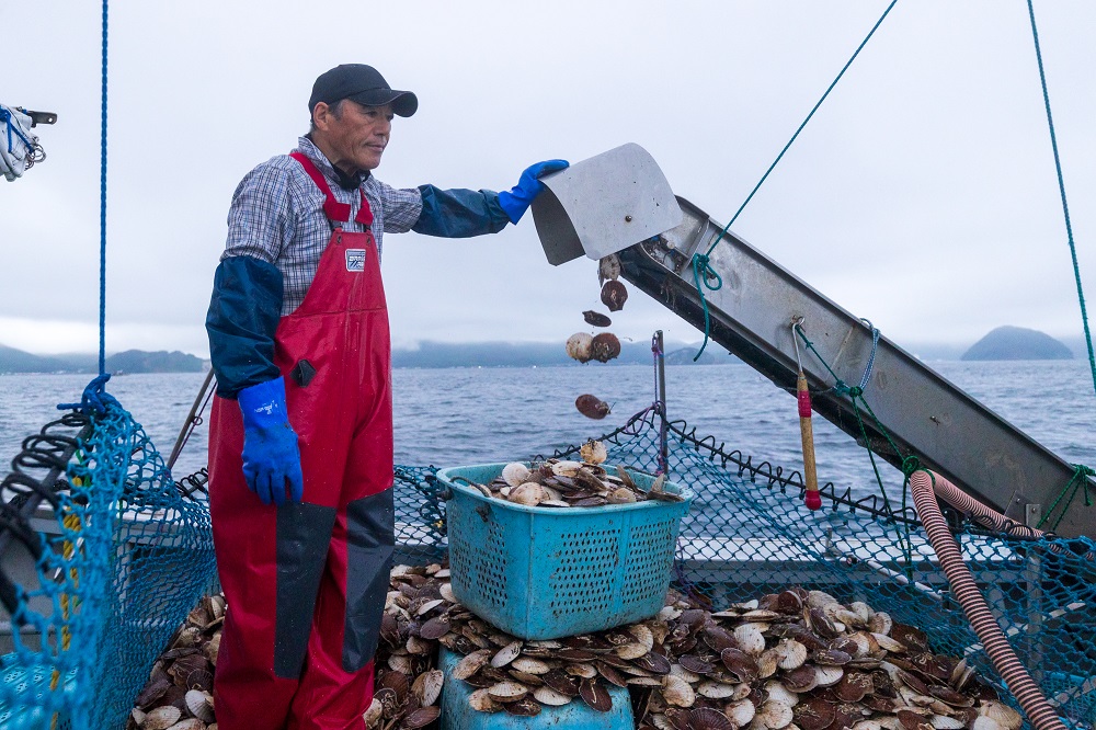 thu-hoach-so-diep-aomori